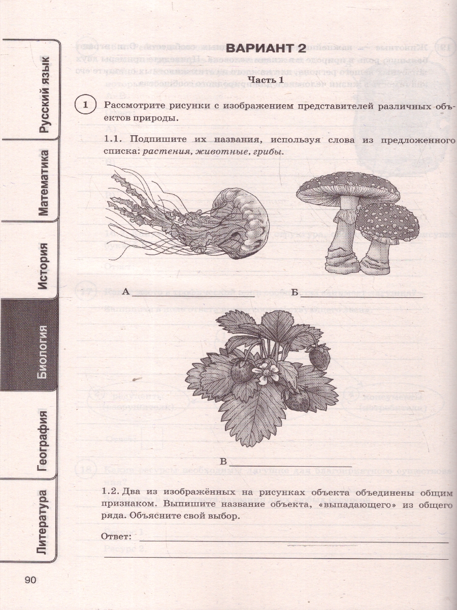 Обложка книги ВПР Математика, Русский язык, История, Биология 5 класс. 30 вариантов. ФИОКО СТАТГРАД. ФГОС НОВЫЙ, Автор Ященко И. В.; Егораева Г. Т.; Барабанов В. В., издательство Экзамен | купить в книжном магазине Рослит