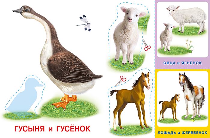 Обложка Аппликация с карточками Мама и малыши. Домашние любимцы(Фламинго), издательство Фламинго | купить в книжном магазине Рослит