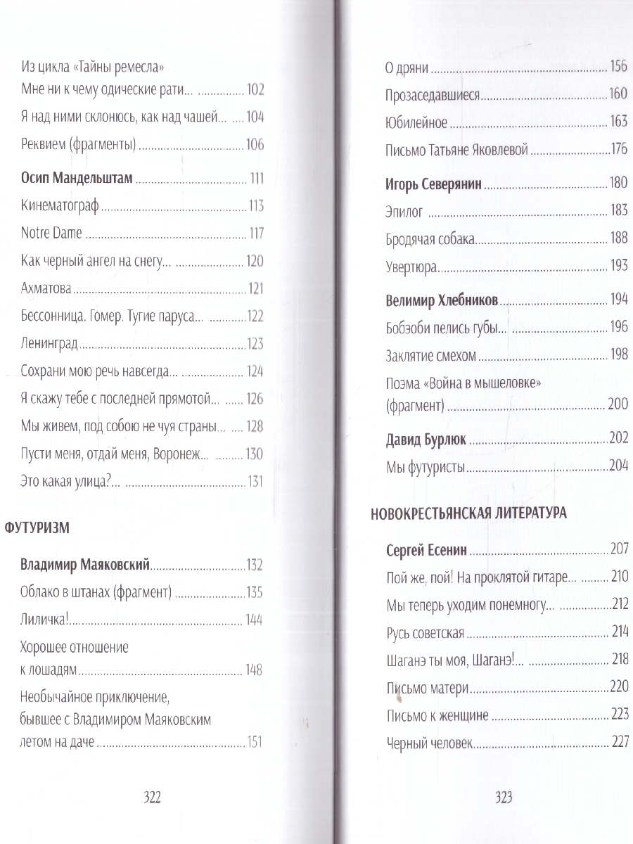 Обложка книги Серебряный век русской поэзии. Стихотворения и судьбы. Подробный иллюстрированный комментарий, Автор Жуйкова Е. В., издательство Проспект | купить в книжном магазине Рослит