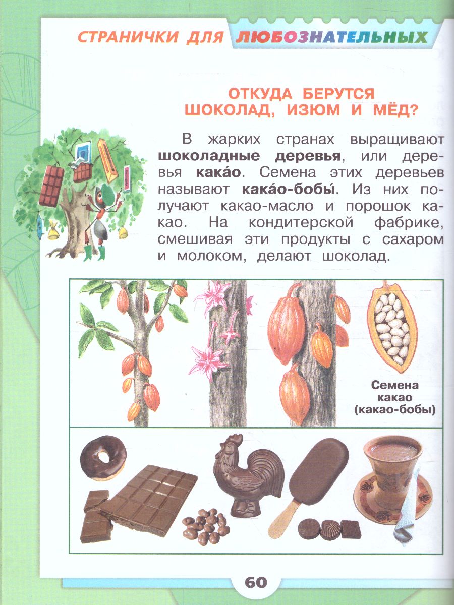 Обложка книги Окружающий мир. Первый год обучения. Часть 3. УМК "Школа России" (Эффективная начальная школа), Автор Плешаков А.А., издательство Просвещение | купить в книжном магазине Рослит