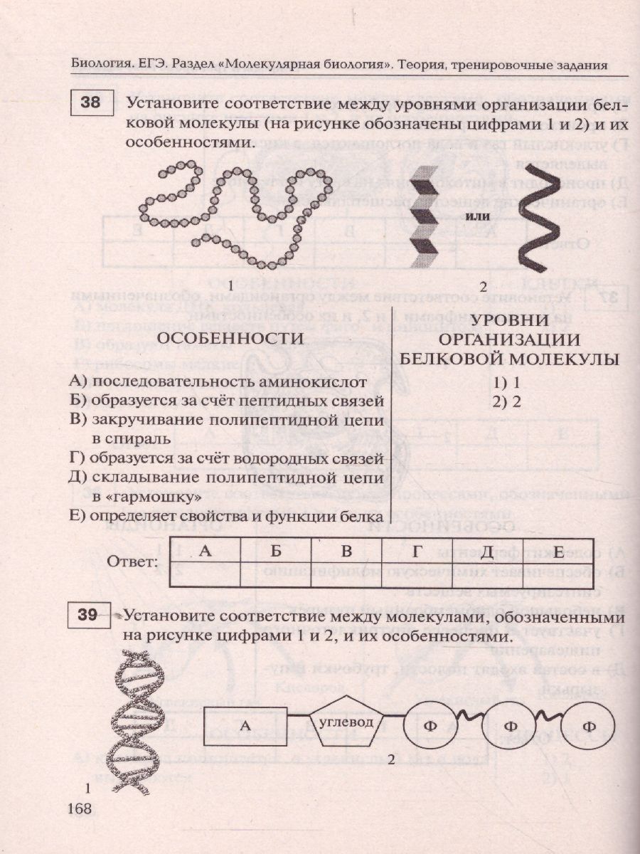 Обложка книги ЕГЭ-2021. Биология 11 класс. Раздел Молекулярная Биология. Тренировочная тетрадь, Автор Кириленко А.А., издательство ЛЕГИОН | купить в книжном магазине Рослит