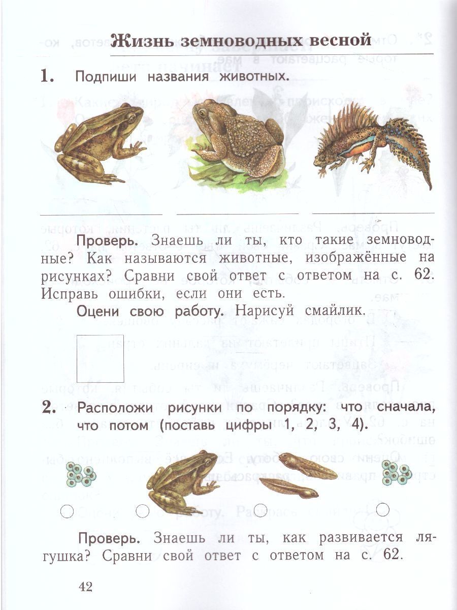 Обложка книги Окружающий мир 1 класс. Проверяем свои знания и умения. Тетрадь №2 для проверочных работ. ФГОС, Автор Виноградова Н.Ф., издательство Просвещение | купить в книжном магазине Рослит