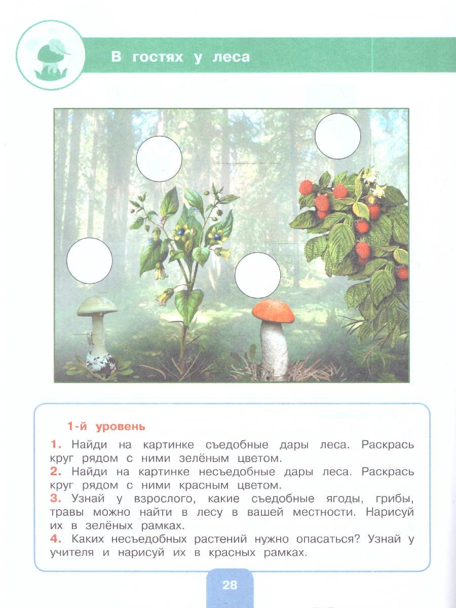 картинка Речевая практика 4 класс. Рабочая тетрадь(для обучающихся с интеллектуальными нарушениями) от магазина Рослит