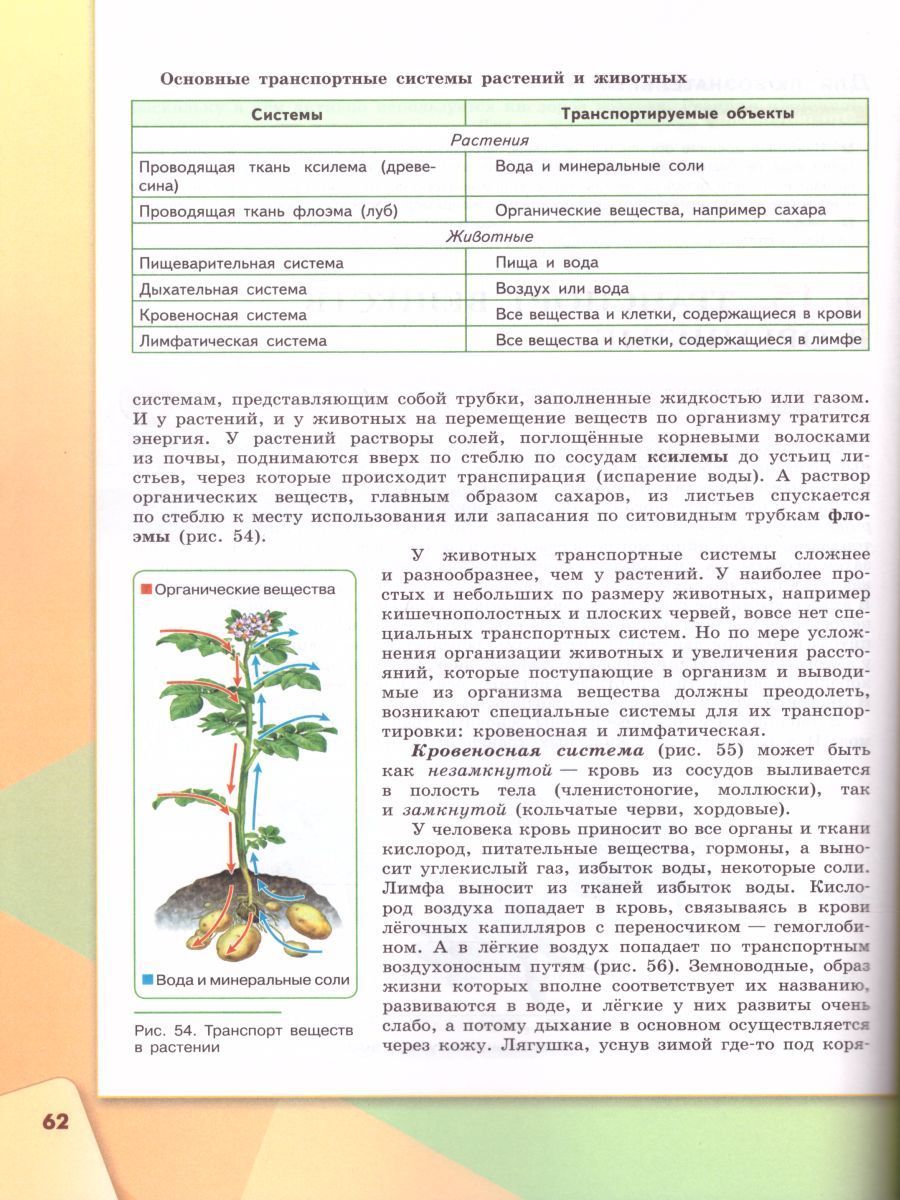 Обложка книги Биология 9 класс. Учебник, Автор Сивоглазов В.И. Каменский А.А. Сарычева Н.Ю., издательство Просвещение | купить в книжном магазине Рослит