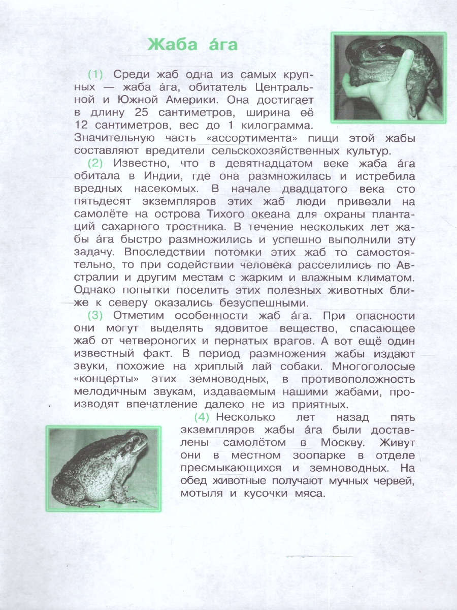 Обложка книги Мои достижения. Итоговые комплексные работы 3 класс. ФГОС, Автор Логинова О. Б. Яковлева С. Г., издательство Просвещение/Союз                                   | купить в книжном магазине Рослит
