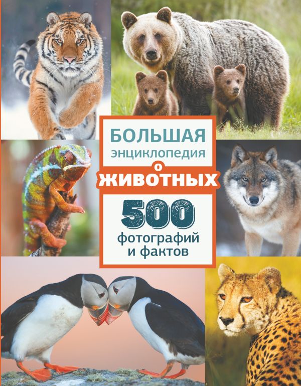 Обложка Большая энциклопедия о животных. 500 фотографий и фактов. /Большая энциклопедия обо всём, издательство АСТ | купить в книжном магазине Рослит