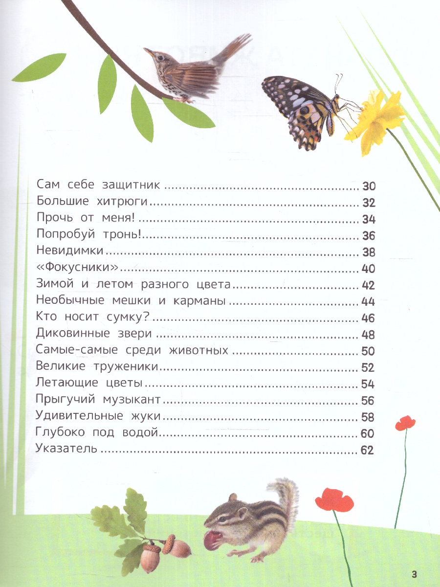 Обложка книги Животные. Энциклопедия для первого чтения с крупными буквами, изд.: Росмэн, авт.: Гальцева С. Н., Кл, Автор Гальцева С. Н. Клюшник Л. В, издательство РОСМЭН | купить в книжном магазине Рослит