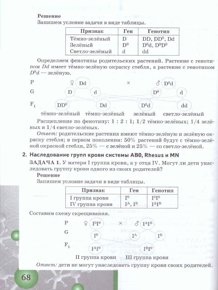 Обложка книги Задачи по молекулярной Биологии и Генетике 10-11 класс. Теория и практика, Автор Ермакова М.В. Захаров В.Б., издательство Русское слово | купить в книжном магазине Рослит