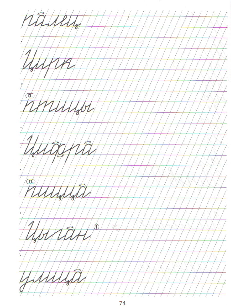 Обложка книги Я учусь писать красиво 5-6 лет. Новая обложка!, Автор Клементовича Т.Ф., издательство ЛИТЕРА | купить в книжном магазине Рослит