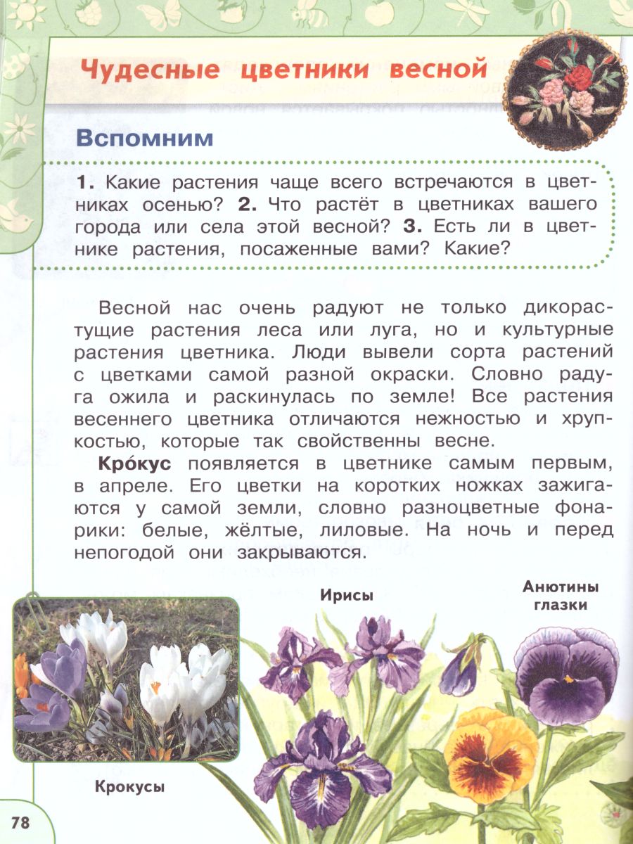 Обложка книги Окружающий мир 2 класс. Учебник в 2-х частях. Часть 2. ФГОС. УМК "Перспектива", Автор Плешаков А.А. Новицкая М.Ю., издательство Просвещение | купить в книжном магазине Рослит
