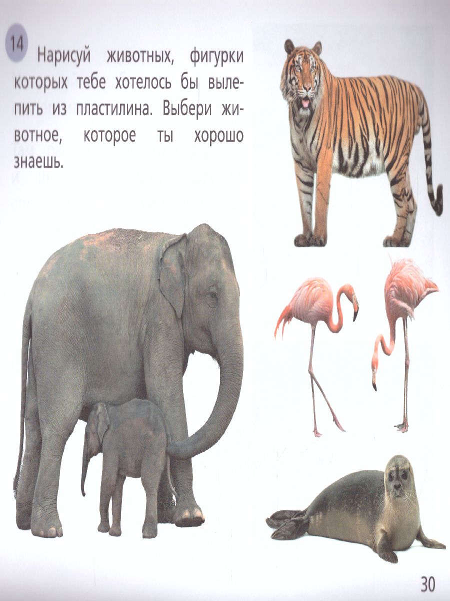 Обложка книги Изобразительное искусство 1 класс. Рабочий альбом. ФГОС, Автор Савенкова Л.Г. Ермолинская Е.А., издательство Просвещение/Союз                                   | купить в книжном магазине Рослит