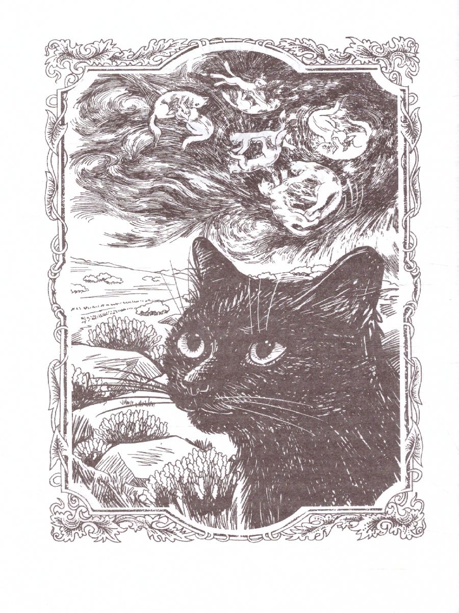 Обложка Коты-воители. Испытание Грача. Тени прошлого, издательство Просвещение/Союз                                   | купить в книжном магазине Рослит