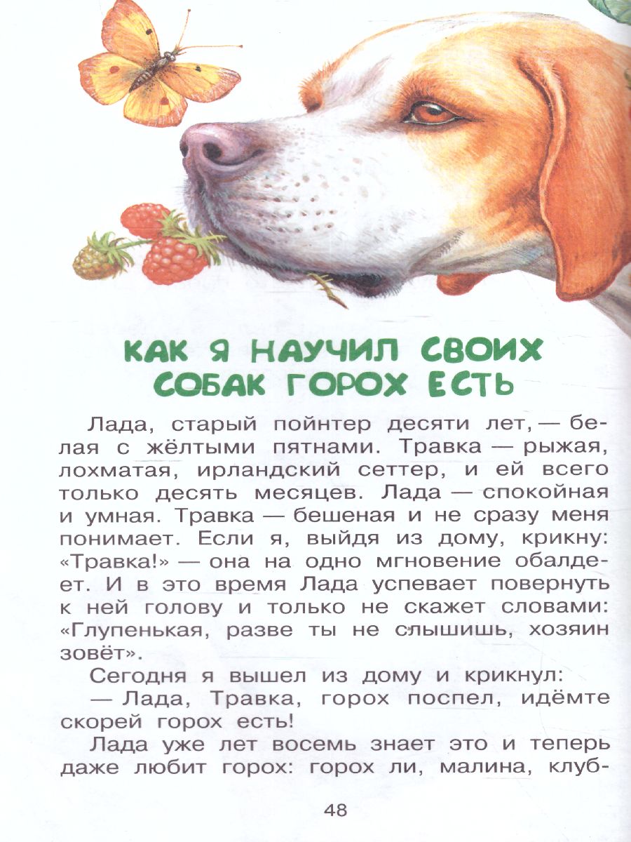 Обложка книги Как поссорились кошка с собакой, Автор Пришвин М.М., издательство АСТ | купить в книжном магазине Рослит