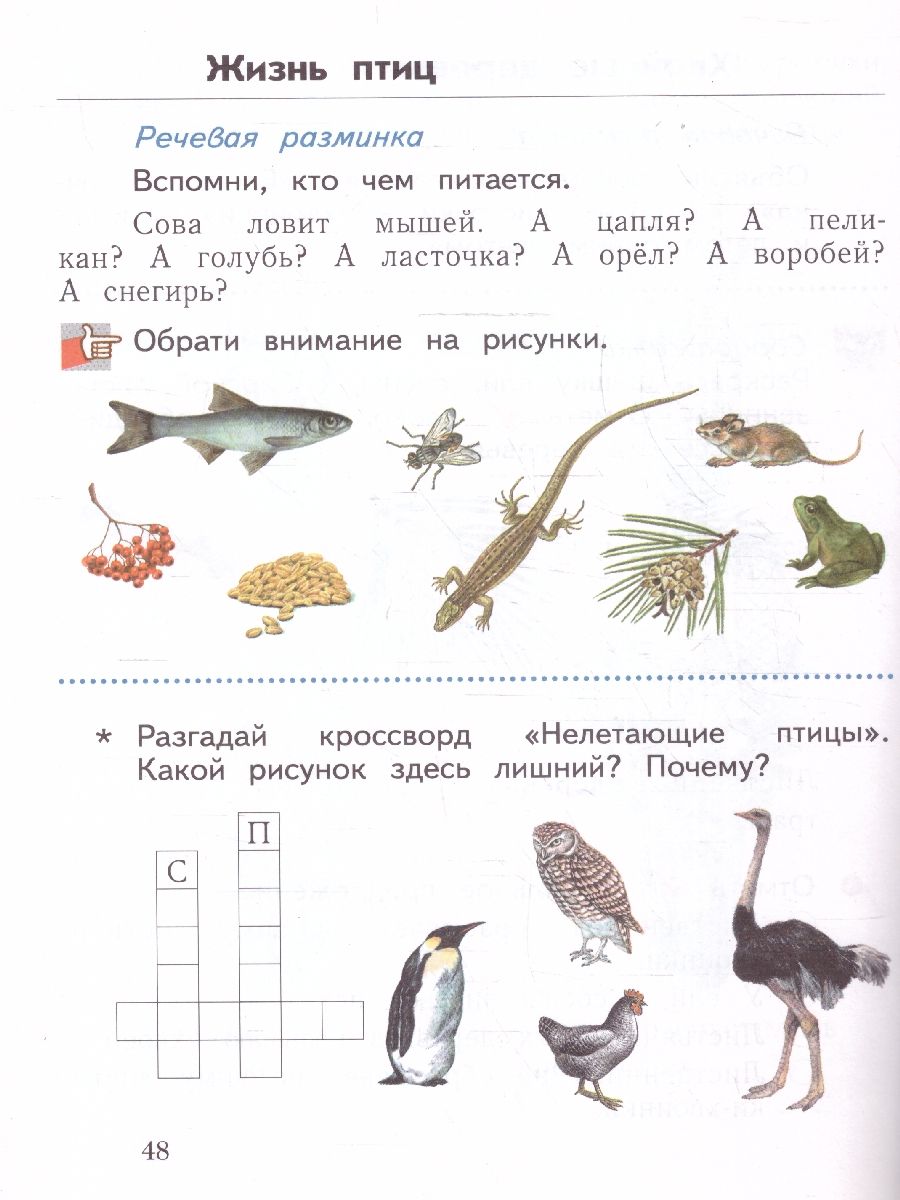 Обложка книги Окружающий мир 1 класс. Рабочая тетрадь. К новому учебному пособию. ФГОС, Автор Виноградова Н. Ф., издательство Просвещение | купить в книжном магазине Рослит