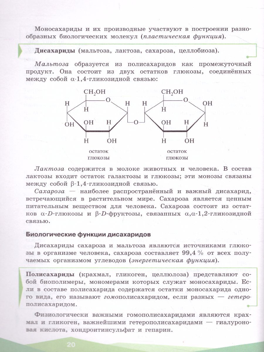 Обложка книги Биохимия 10-11 классы. Учебник, Автор Антипова Н.В. Даянова Л.К. Пахомов А.А. Третьякова Д.С., издательство Просвещение/Союз                                   | купить в книжном магазине Рослит