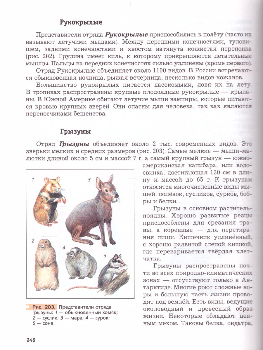 Обложка книги Биология 7 класс. Концетрический курс. Учебник. ФГОС, Автор Константинов В.М. Бабенко В.Г. Кучменко В.С., издательство Просвещение | купить в книжном магазине Рослит