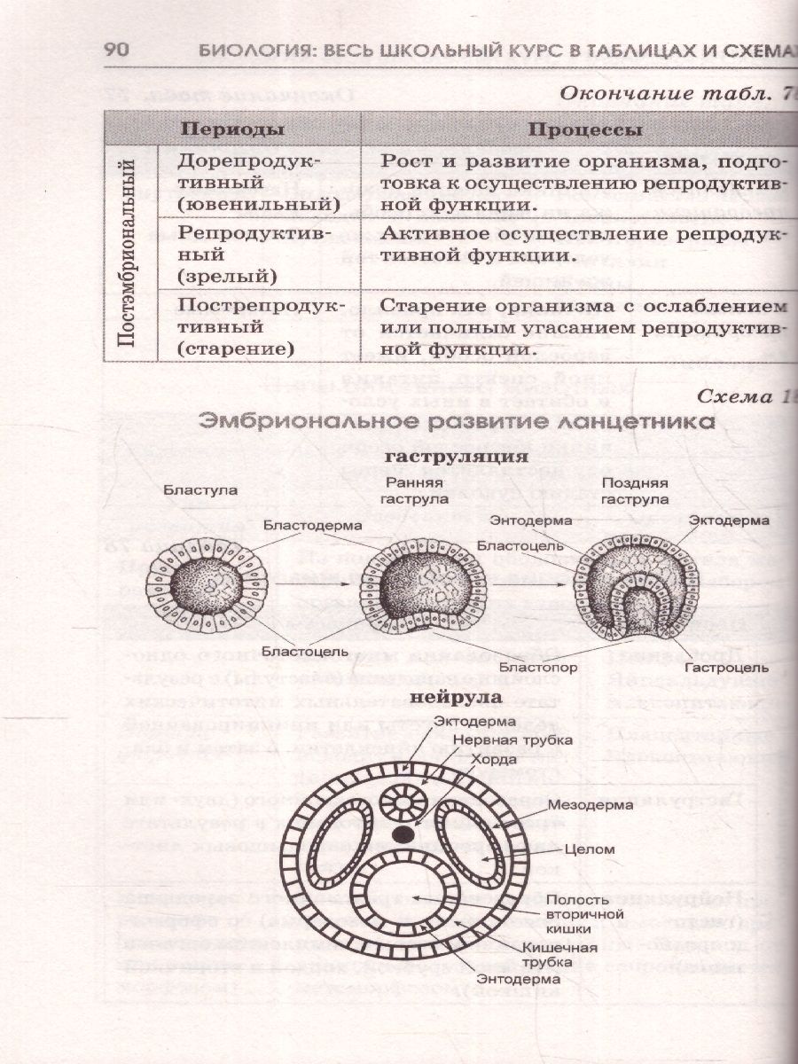 Обложка книги ОГЭ Биология. Полный курс в таблицах и схемах для подготовки, Автор Маталин А. В., издательство АСТ | купить в книжном магазине Рослит