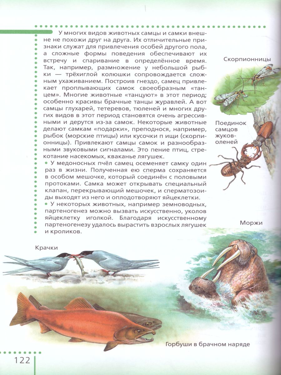 Обложка книги Биология 6 класс. Живой организм. Учебное пособие. Вертикаль. ФГОС, Автор Сонин Н.И. Сонина В.И., издательство Просвещение/Союз                                   | купить в книжном магазине Рослит
