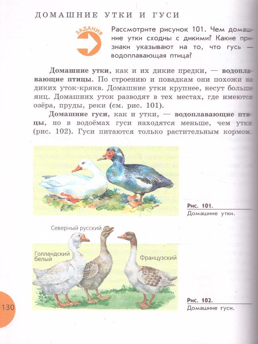 Обложка книги Биология 8 класс. Учебник для специальных (коррекционных) образовательных учреждений VIII вида, Автор Никишов А.И. Теремов А.В., издательство Просвещение | купить в книжном магазине Рослит