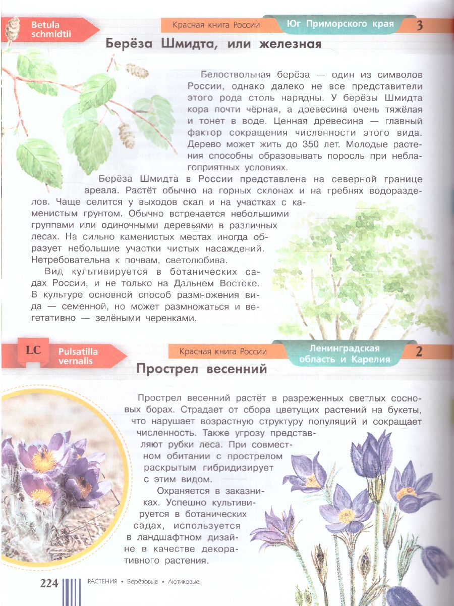 Обложка Красная книга России, издательство АСТ | купить в книжном магазине Рослит