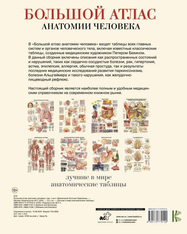 Обложка книги Большой атлас анатомии человека, Автор Махиянова Е.Б., издательство АСТ | купить в книжном магазине Рослит