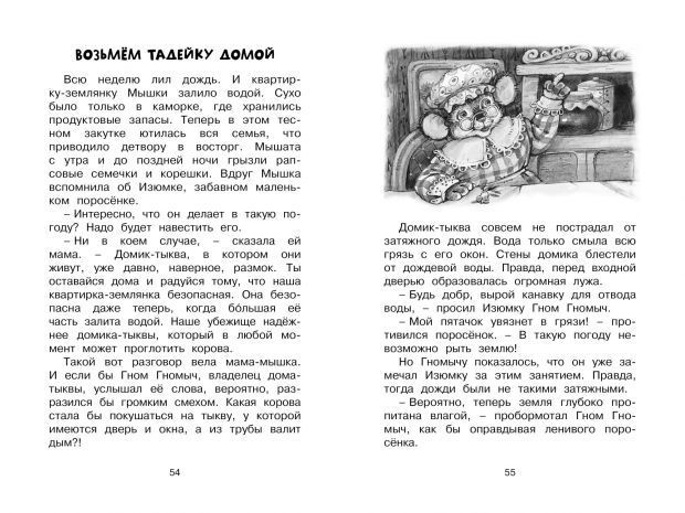 Обложка Изюмка и гном / Чтение - лучшее учение, издательство Махаон | купить в книжном магазине Рослит