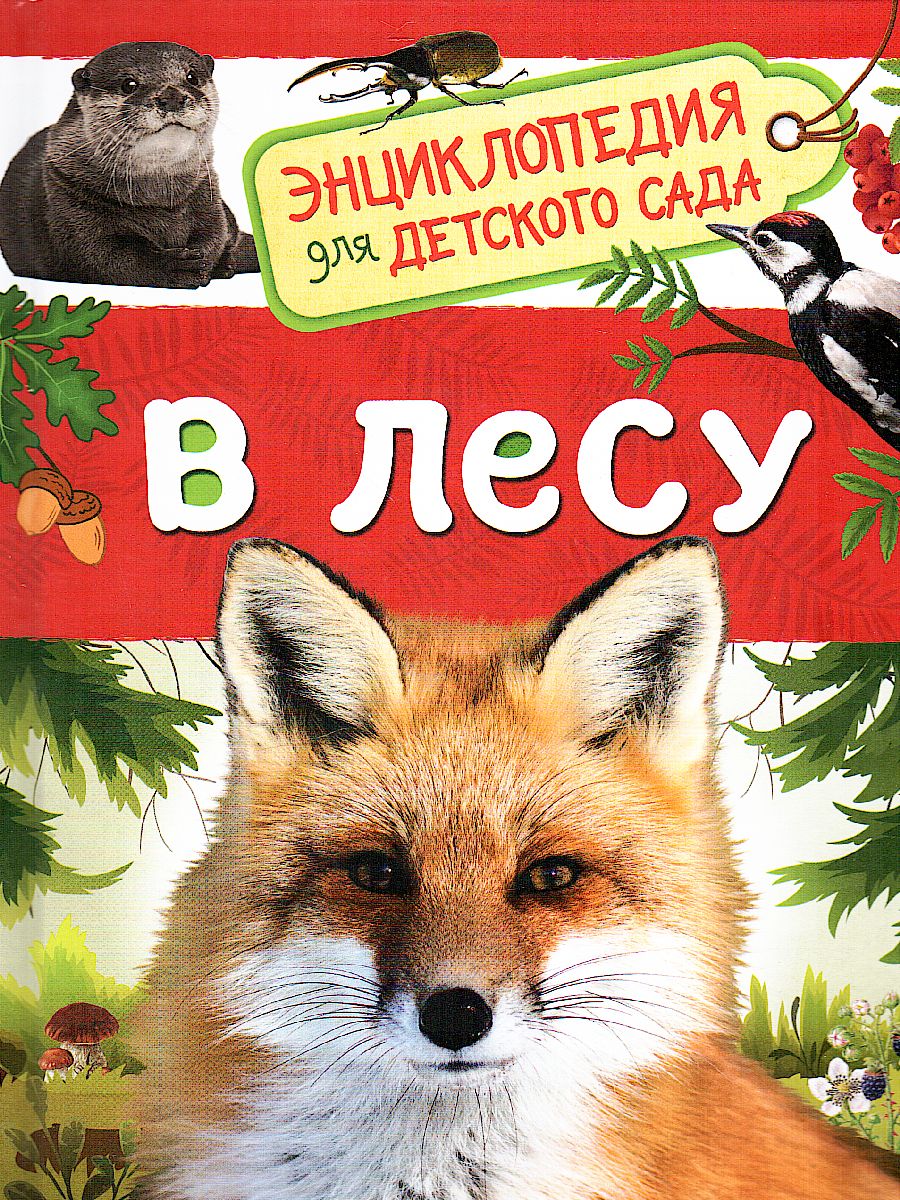 Обложка В лесу, издательство РОСМЭН | купить в книжном магазине Рослит