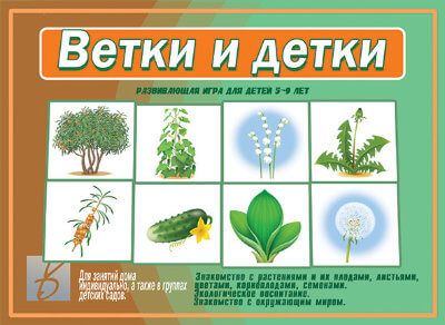 Обложка книги Ветки и детки, Автор , издательство Весна-Дизайн | купить в книжном магазине Рослит