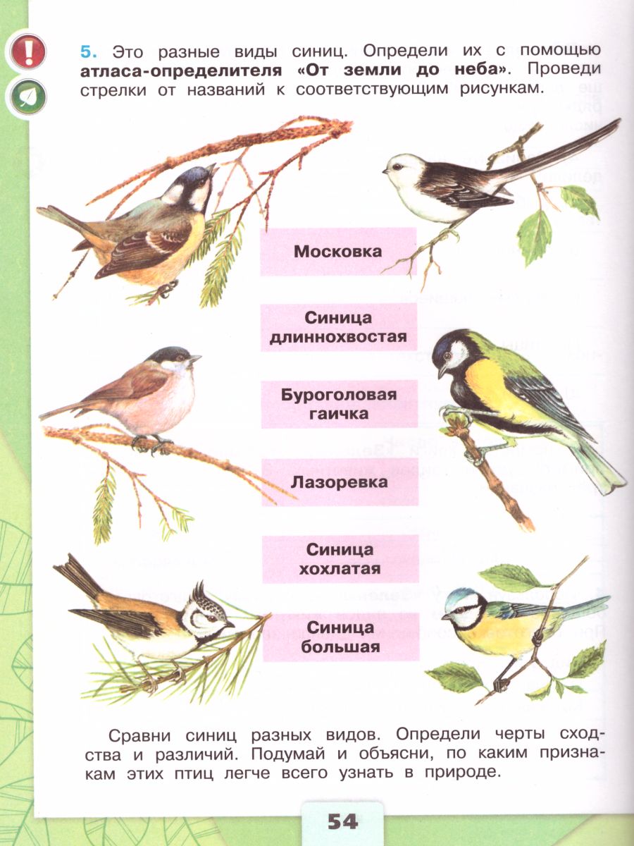 Обложка книги Окружающий мир 3 класс. Рабочая тетрадь в 2-х частях. Часть 1. УМК "Школа России", Автор Плешаков А.А., издательство Просвещение | купить в книжном магазине Рослит