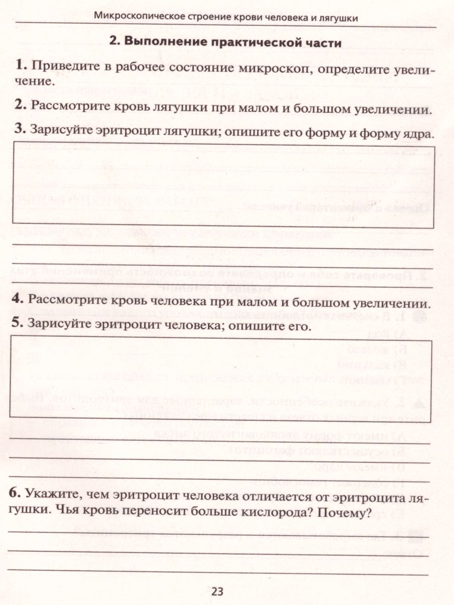 Обложка книги Биология. Лабораторный практикум для основной школы. Раздел Человек, Автор Маскаева Е.М. Шмарковская И.Л., издательство ЛЕГИОН | купить в книжном магазине Рослит