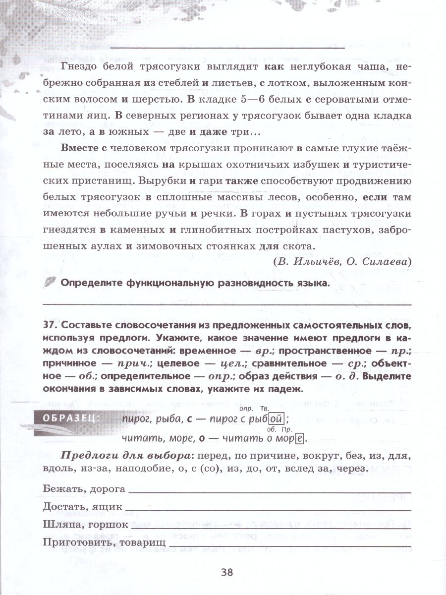 Обложка книги Русский язык 7 класс. Рабочая тетрадь в 2-х частях. Часть 2. (ФП2022), Автор Бондаренко М.А., издательство Просвещение | купить в книжном магазине Рослит
