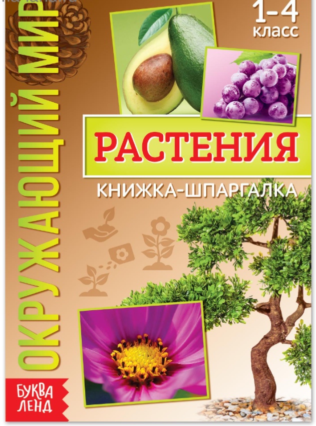 Обложка Книжка-шпаргалка "Окружающий мир. Растения", издательство Буква-Ленд                                         | купить в книжном магазине Рослит