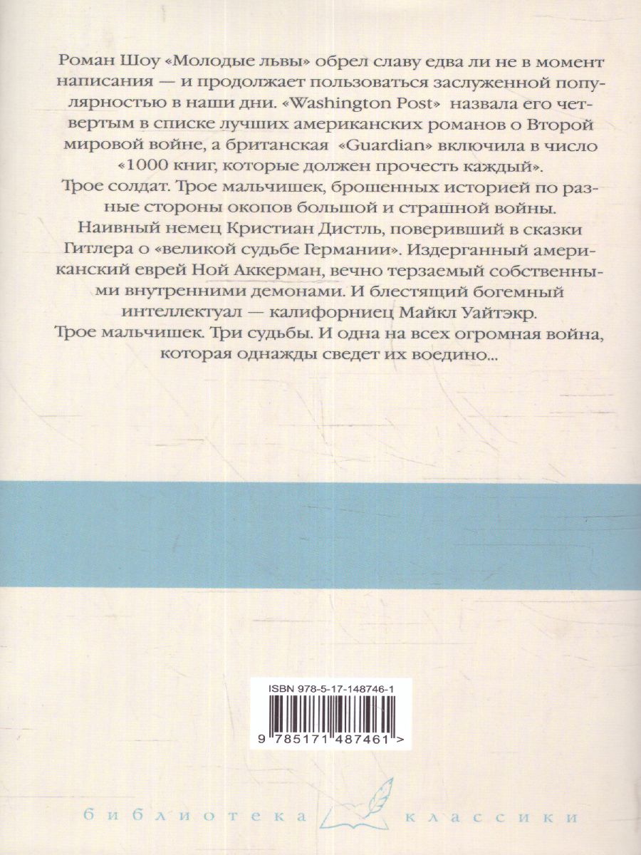 картинка Молодые львы от магазина Рослит