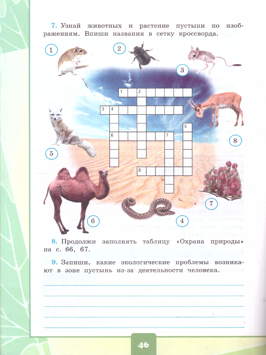Обложка книги Окружающий мир 4 класс. Тетрадь с дневником наблюдений. Часть 1. ФГОС Новый, Автор Тихомирова Е. М., издательство Экзамен | купить в книжном магазине Рослит