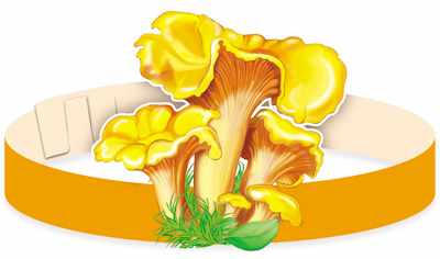 Обложка книги Маска-ободок Лисички, Автор МА-12074, издательство Сфера | купить в книжном магазине Рослит