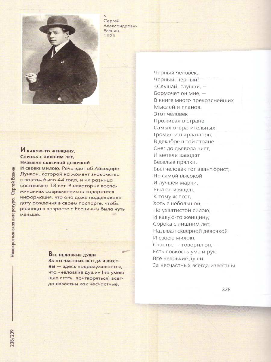 Обложка книги Серебряный век русской поэзии. Стихотворения и судьбы. Подробный иллюстрированный комментарий, Автор Жуйкова Е. В., издательство Проспект | купить в книжном магазине Рослит
