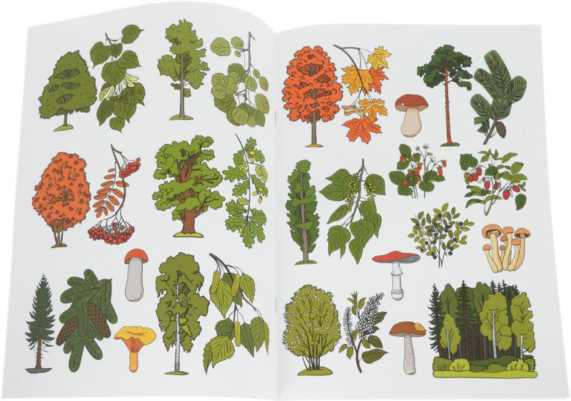 Обложка книги Лес, Деревья, Грибы, Ягоды Дидактический материал по лексической теме 5-7 лет. ФГОС (Детство-Пресс), Автор , издательство ДЕТСТВО-ПРЕСС | купить в книжном магазине Рослит