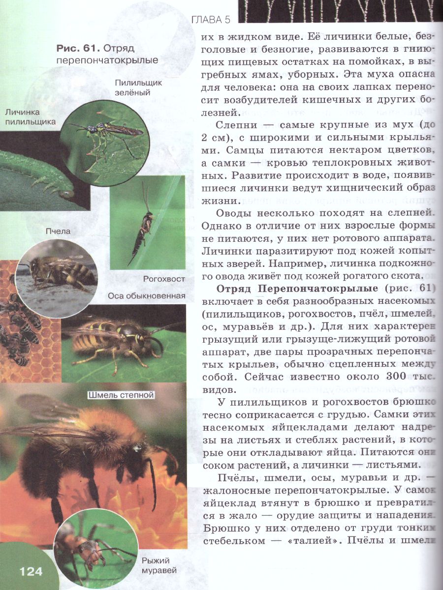 Обложка книги Биология 7 класс. Учебное пособие, Автор Тихонова Е.Т. Романова Н.И., издательство Русское слово | купить в книжном магазине Рослит