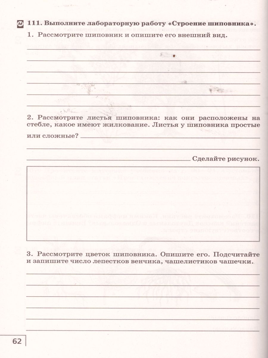 Обложка книги Биология 7 класс. Многообразие живых организмов. Рабочая тетрадь. С тестовыми заданиями ЕГЭ. Вертикаль. ФГОС, Автор Захаров В.Б. Сонин Н.И., издательство Просвещение | купить в книжном магазине Рослит