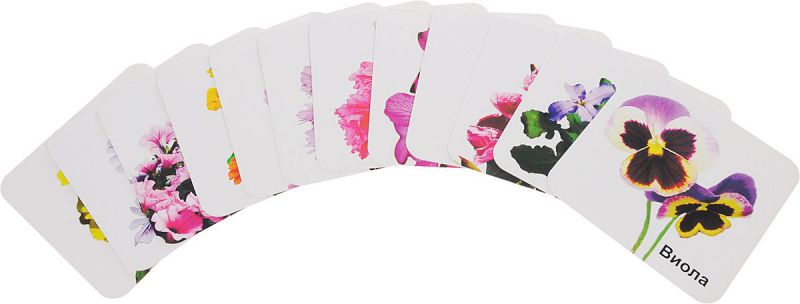 Обложка книги Двулетние садовые цветы: 12 карточек для занятий с детьми, Автор Н-252, издательство Учитель | купить в книжном магазине Рослит