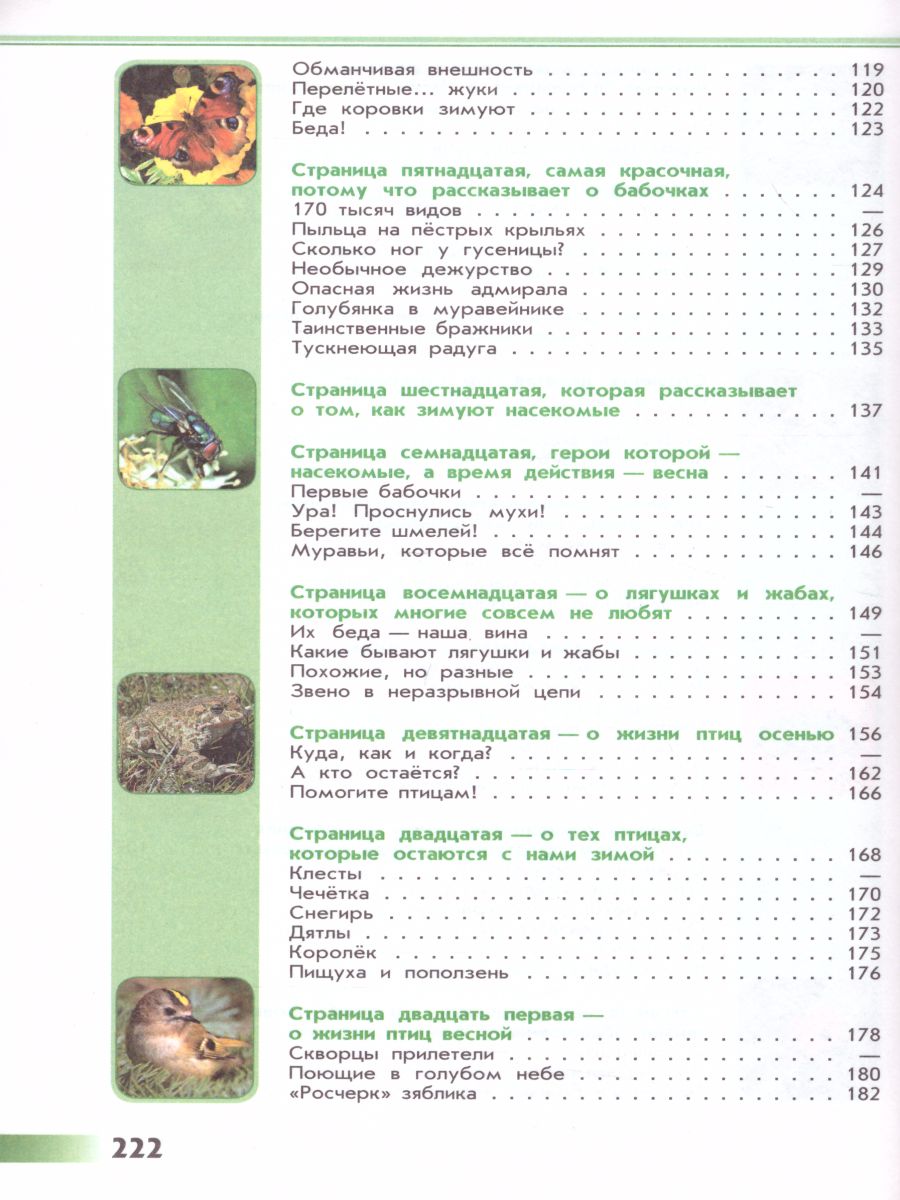 Обложка книги Зеленые страницы. Книга для учащихся начальных классов. ФГОС. УМК "Школа России", Автор Плешаков А.А., издательство Просвещение | купить в книжном магазине Рослит