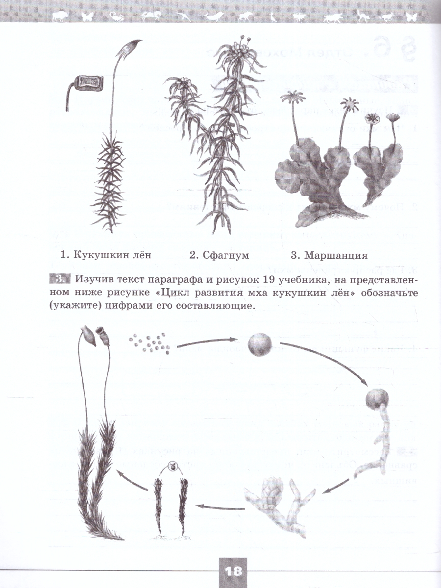 Обложка книги Биология 7 класс(Линия жизни). Рабочая тетрадь (ФП2022), Автор Пасечник В.В. Швецов Г.Г. Суматохин С.В., издательство Просвещение | купить в книжном магазине Рослит
