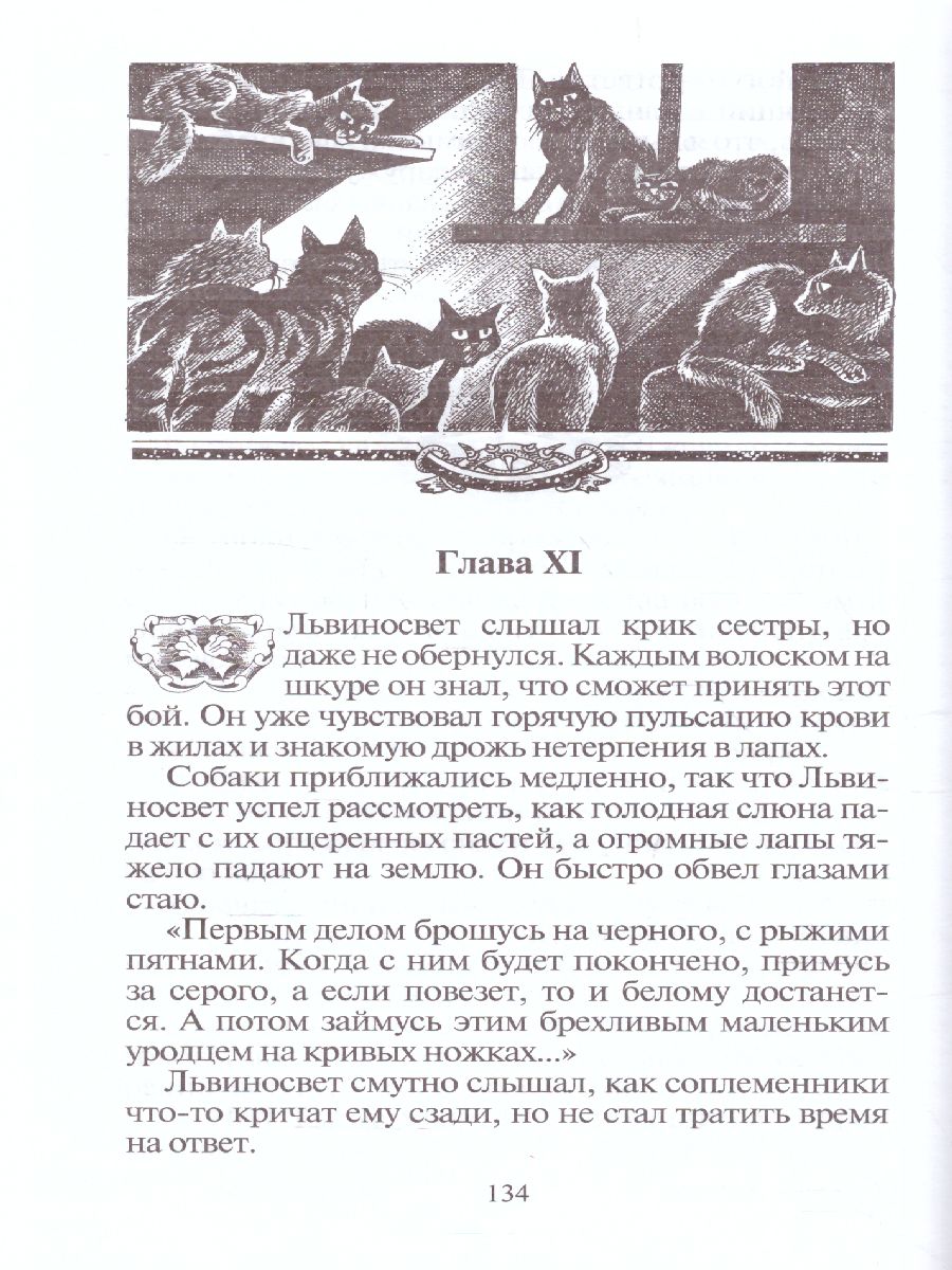 Обложка Цикл "Сила трех". Восход солнца / Коты-воители, издательство Просвещение/Союз                                   | купить в книжном магазине Рослит