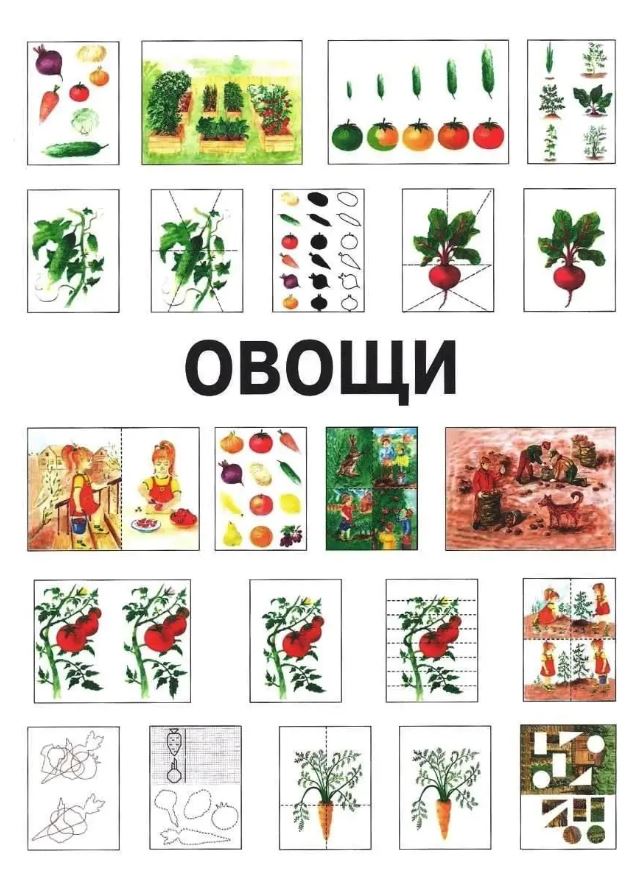 Обложка книги Развитие мыслительной деятельности у детей дошкольного возраста с ОВЗ (4-7 лет). Рабочая тетрадь № 1, Автор Спирева Е.Н., издательство Владос | купить в книжном магазине Рослит