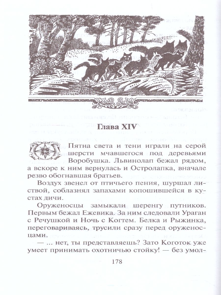Обложка Коты-воители. Цикл "Сила трех". Отверженные, издательство Просвещение/Союз                                   | купить в книжном магазине Рослит