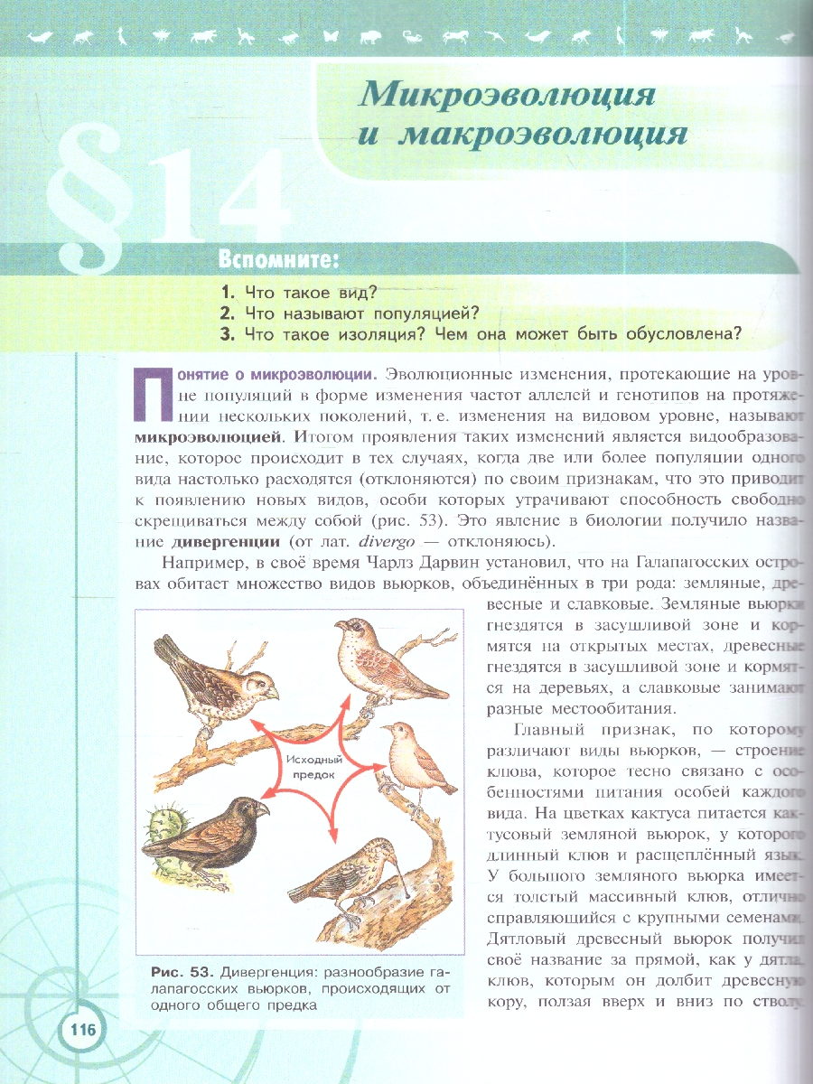 Обложка книги Пасечник (Линия жизни) Биология 11 кл. Базовый уровень. Учебник(ФП2022) (Просв.), Автор Пасечник В.В. Каменский А.А. Рубцов А.М., издательство Просвещение | купить в книжном магазине Рослит