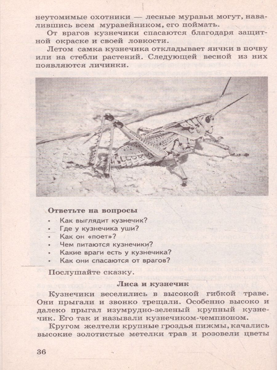 Обложка книги Беседы о насекомых с детьми 5-8 лет. 2-е издание, исправленное, Автор Шорыгина Т.А., издательство Сфера | купить в книжном магазине Рослит