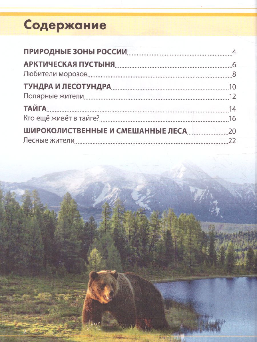 Обложка Детская энциклопедия "Животные России", издательство Буква-Ленд                                         | купить в книжном магазине Рослит