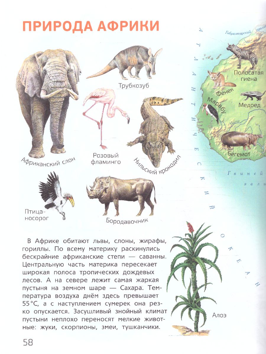 Обложка книги Атлас Мир и человек. Мой любимый географический атлас (желтый) (РОСМЭН), Автор , издательство РОСМЭН | купить в книжном магазине Рослит