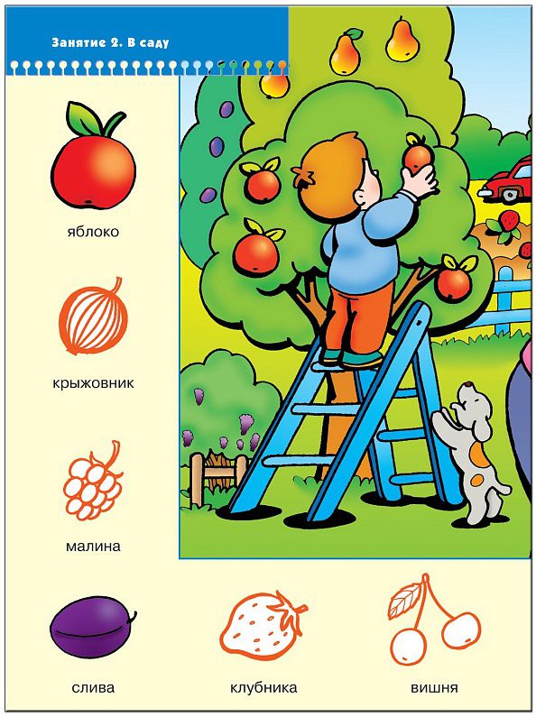 Обложка книги Школа Семи Гномов Второй год обучения. В деревне и на даче, Автор Денисова Д., издательство Мозаика-Синтез | купить в книжном магазине Рослит